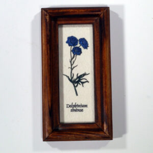 4 X 10 növénysorozat