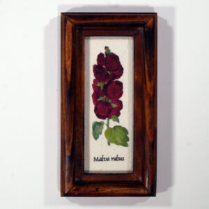 4 X 10 növénysorozat