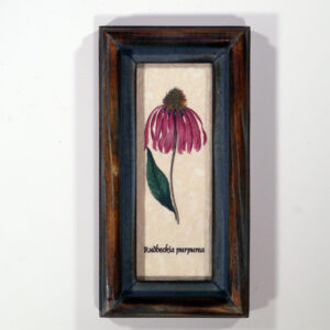 4 X 10 növénysorozat