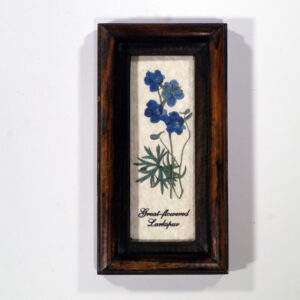 4 X 10 növénysorozat