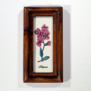 4 X 10 növénysorozat