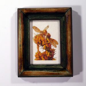 5 x 7 tündéres sorozat