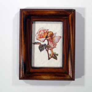 5 x 7 tündéres sorozat