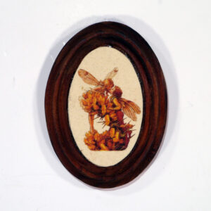 Ovális kiskép tündéres sorozat