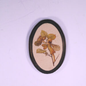 Ovális kiskép tündéres sorozat